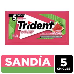 Goma Mascar Trident Slab 5S Sandía - 8.5 g